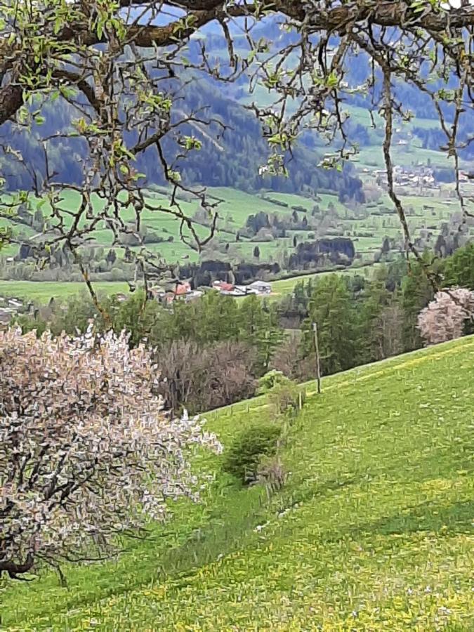 Fruhstuckspension Bischof I D Wiesen Sankt Peter am Kammersberg Екстер'єр фото